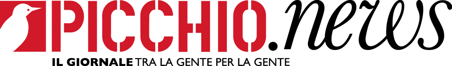 Picchio News